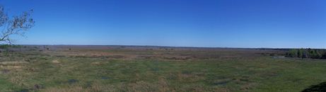 Panoramic photo of Paynes Prairie by Ebyabe.